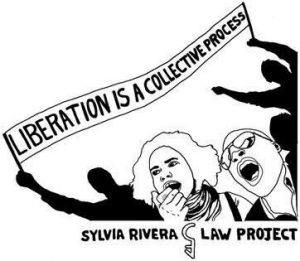 Graphic for the Sylvia Rivera Law Project